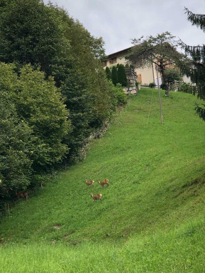 Torcegno Casa Di Ronchiヴィラ エクステリア 写真